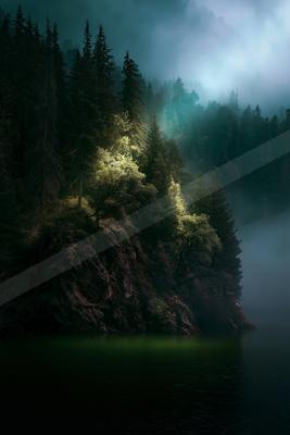 A serene nature scene of forest, trees, mountains.