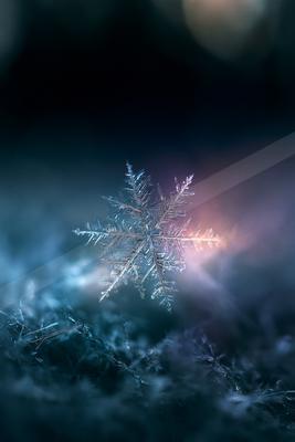 A blue hour still life of abstract texture.