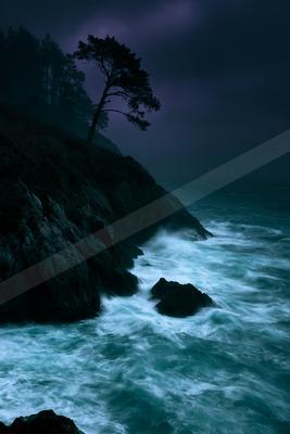 A lone tree stands silhouetted on a dark rocky cliff overlooking turbulent ocean waves crashing against the rocks under a moody purple and dark blue stormy sky.
