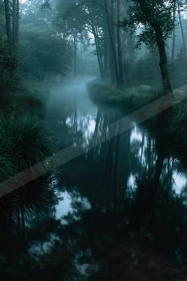A calm river winds through a dense, foggy forest with tall trees and lush green vegetation lining the banks, their reflections visible on the still water surfac