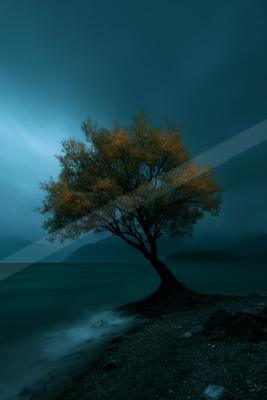 A solitary tree with golden leaves stands on a rocky lakeshore, its trunk leaning over calm water under a dark, misty blue sky with distant mountains.