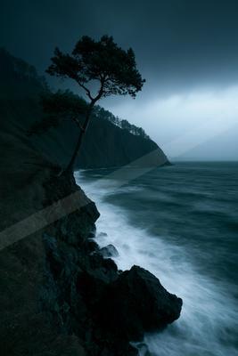 A solitary windswept tree clings to the edge of a dark rocky cliff overlooking a turbulent sea with white-capped waves under a moody overcast sky.