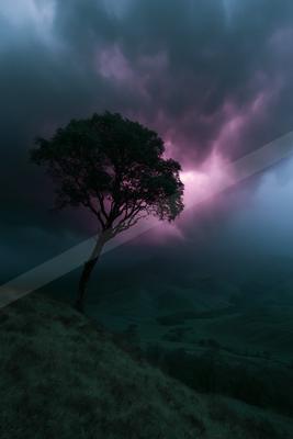A solitary tree stands on a grassy hill against a dramatic stormy sky filled with dark clouds and purple light.
