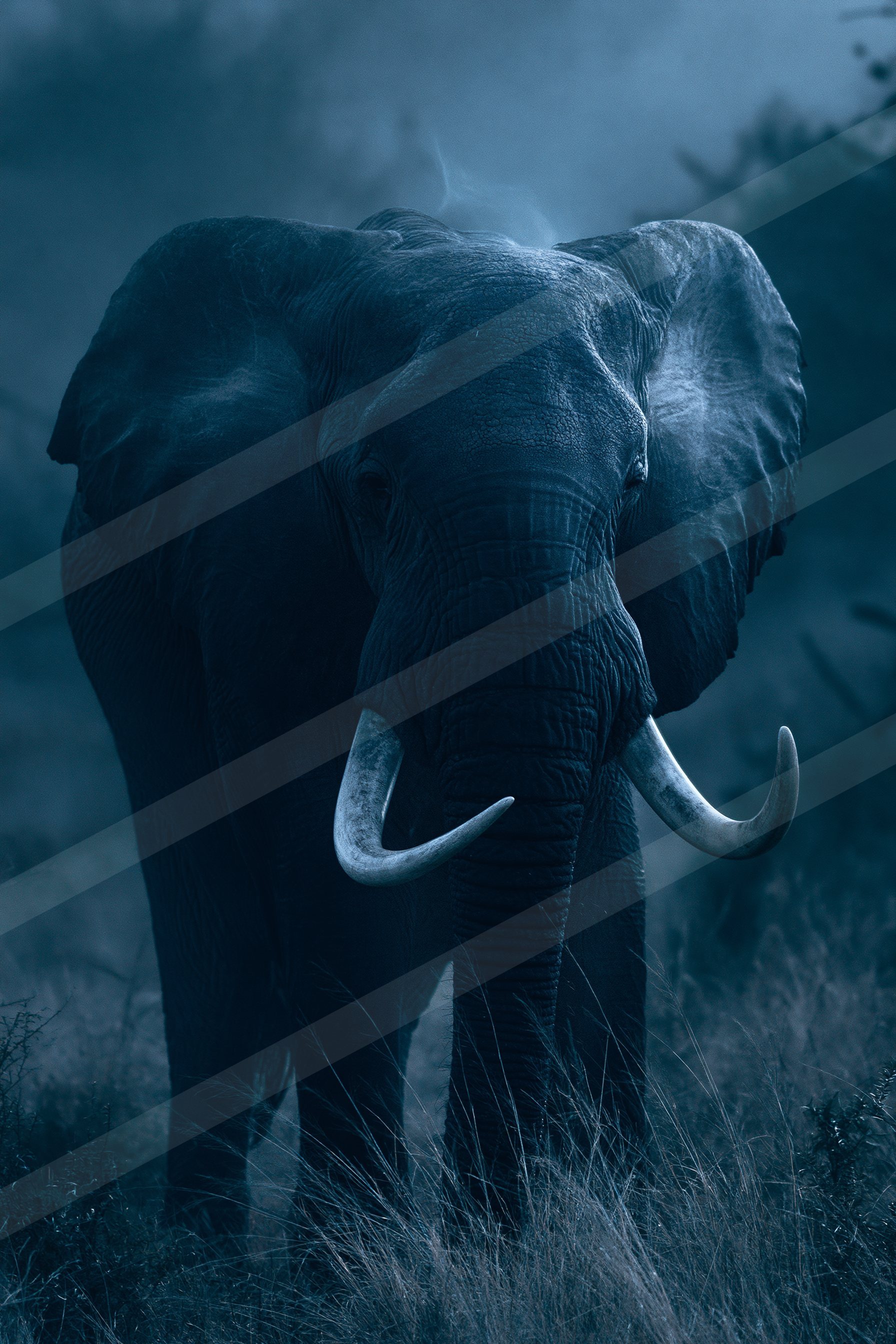 A large elephant stands amidst misty vegetation under low-light conditions, showcasing its impressive tusks and textured skin.