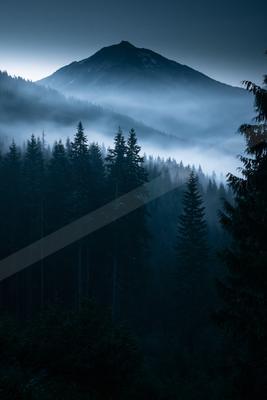 A night landscape of mountains, forest, trees.