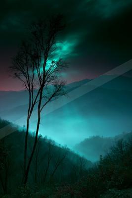 A night landscape of mountains, valley, trees.