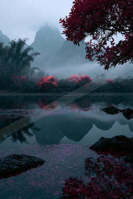 A serene water scene of lake, forest, trees.
