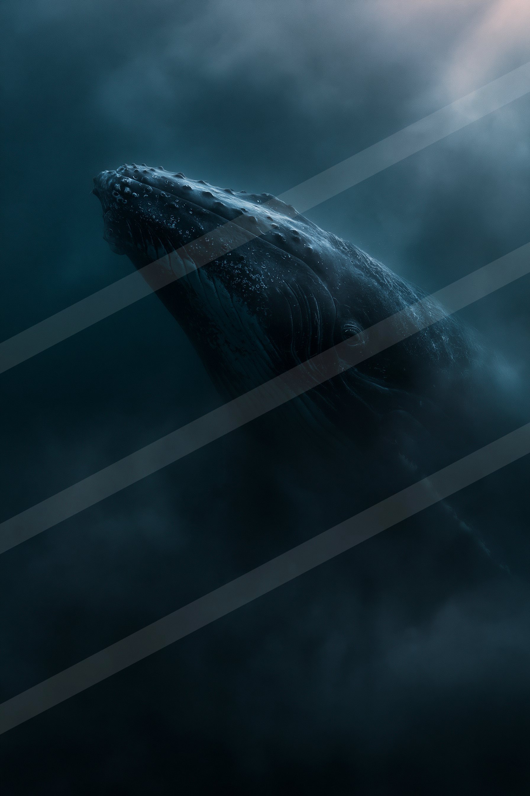 A humpback whale's head breaks through dark ocean waters, illuminated by a soft light source above.