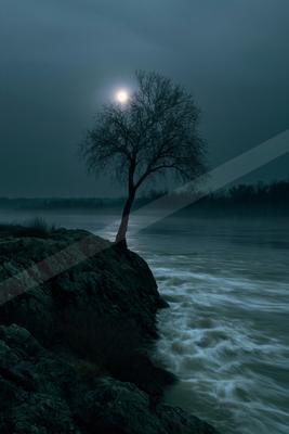 A solitary leafless tree stands on a dark rocky outcrop beside a turbulent river, illuminated by a bright full moon in a misty, overcast night sky.