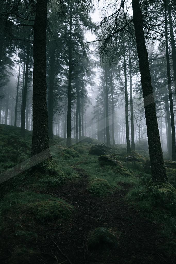 A brown-toned moody photograph of valley, lakeside, alp.