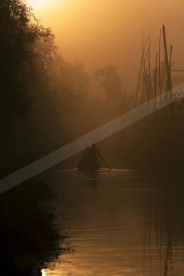 A mysterious water scene of a river, fog.