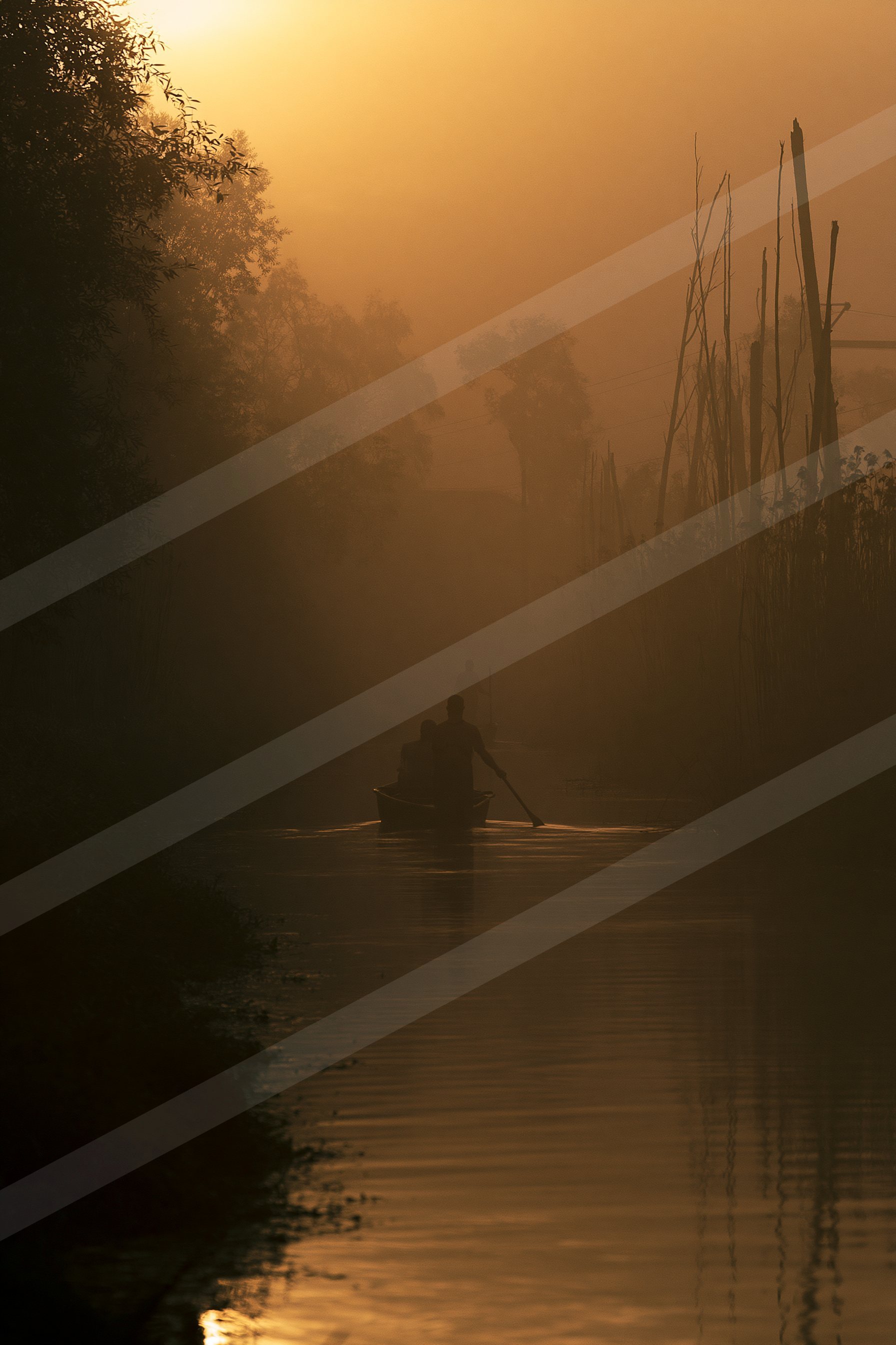 A mysterious water scene of a river, fog.