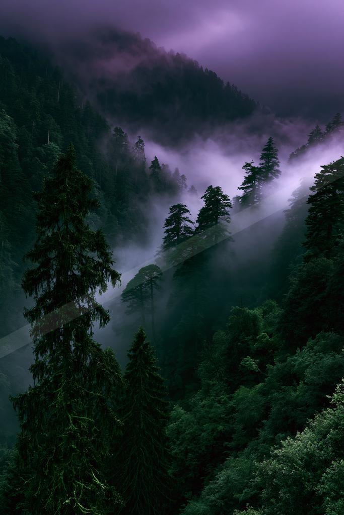 A dramatic nature scene of forest, mountains, valley.