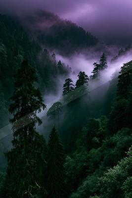 A dramatic nature scene of forest, mountains, valley.