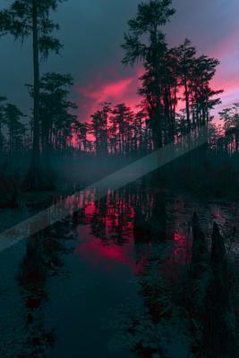 A blue hour water scene of lake, forest, sunset.