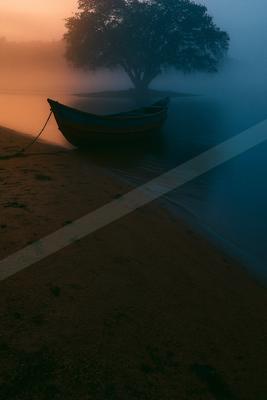 A serene minimalist water scene of beach, lake, trees.