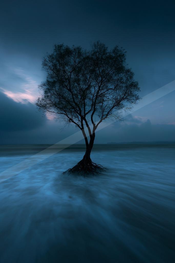A solitary tree with exposed roots stands in a misty blue body of water under a dramatic cloudy sky at dusk.