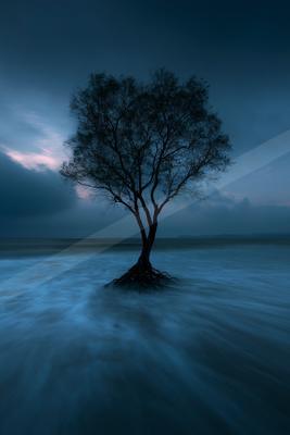 A solitary tree with exposed roots stands in a misty blue body of water under a dramatic cloudy sky at dusk.