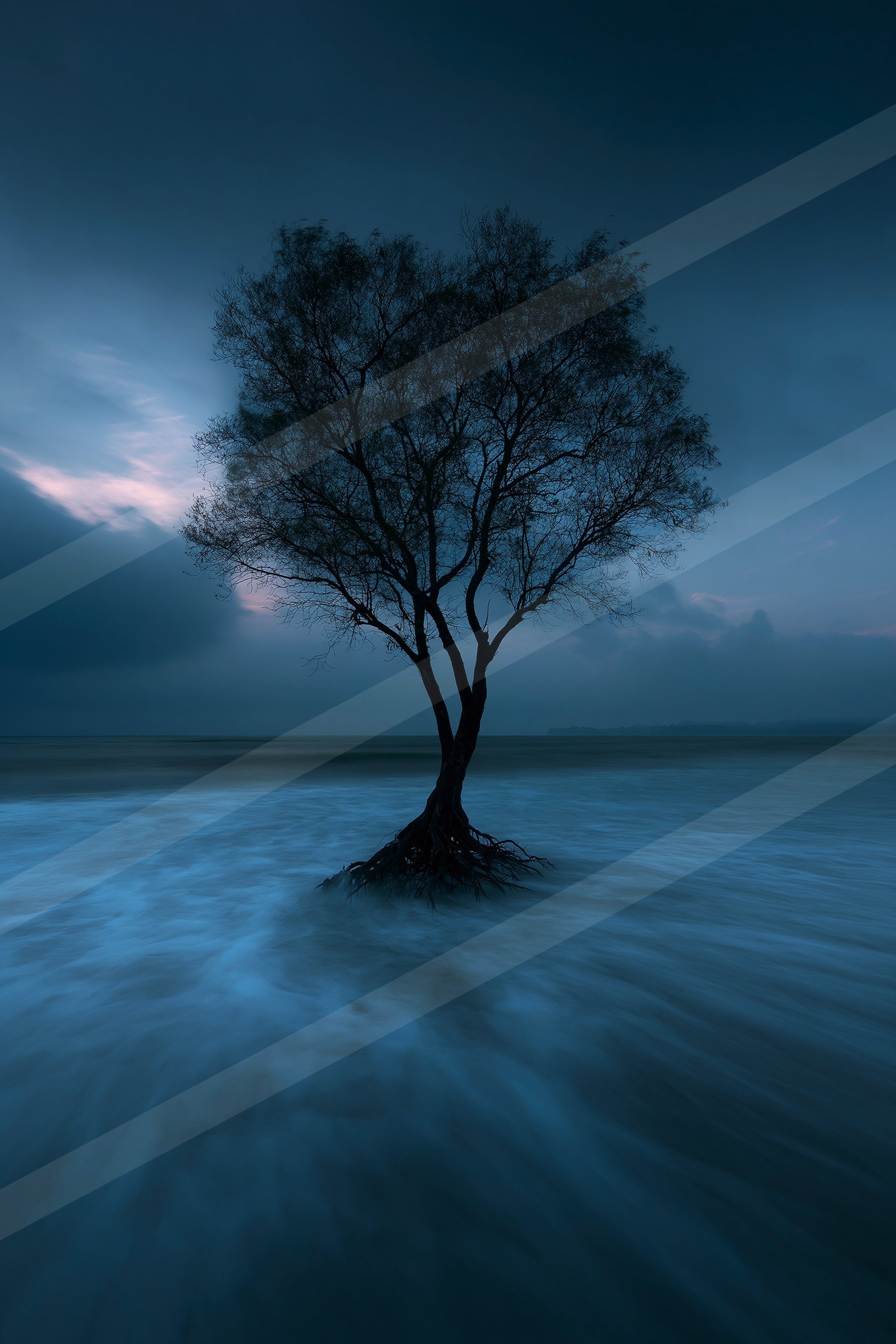 An ethereal high contrast nature scene of an oak tree, reflection.