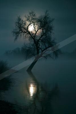 A night water scene of lake, fog.