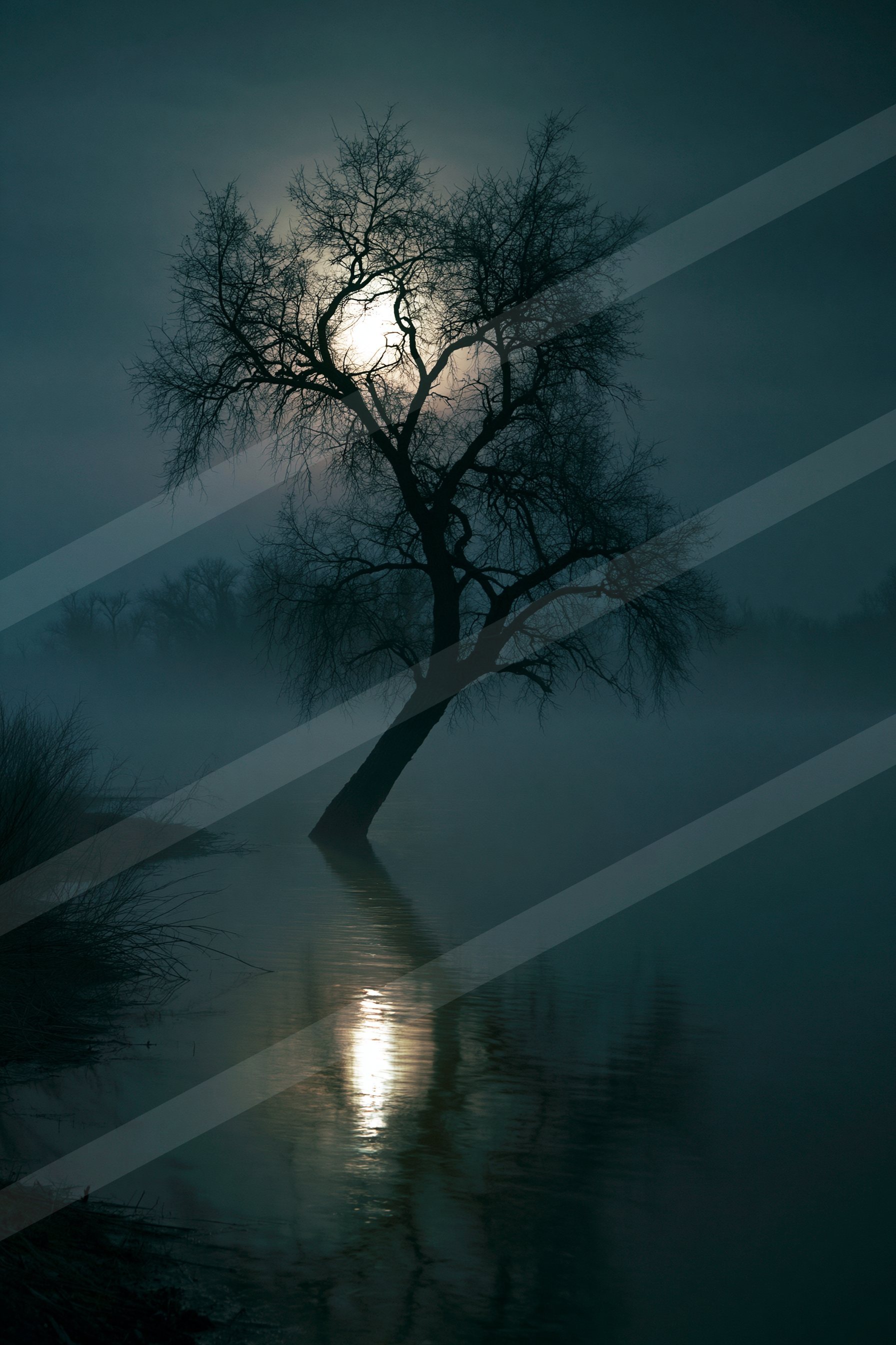 A night sky scene of a moon, reflection.