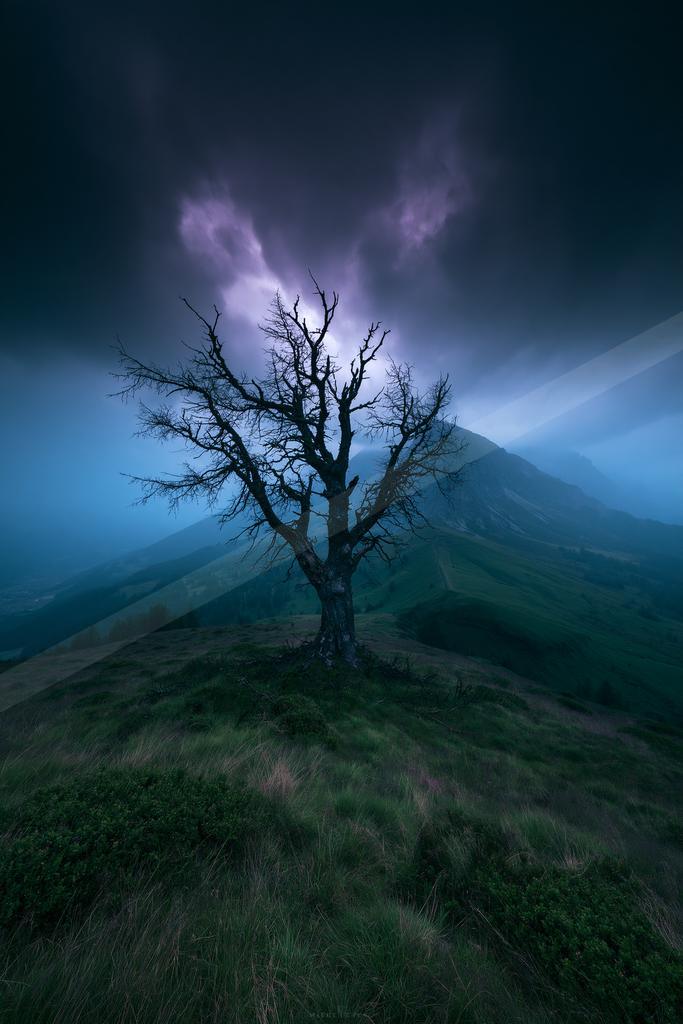 A dramatic sky scene of storm, trees, clouds.