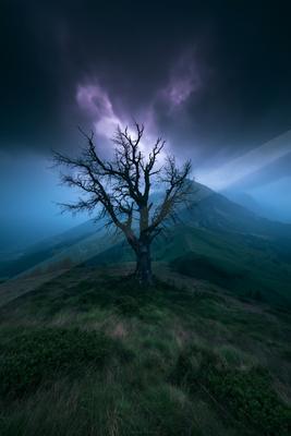 A dramatic sky scene of storm, trees, clouds.