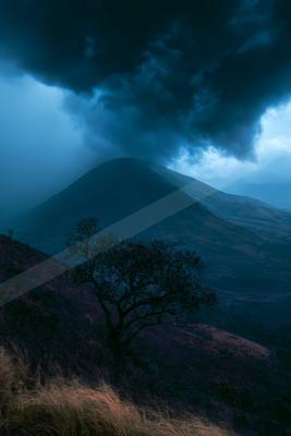 A dramatic sky scene of storm, trees.