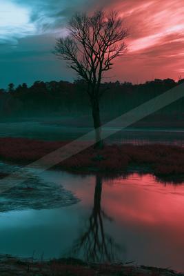 A moody water scene of lake, trees.