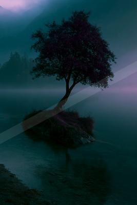 A solitary tree with dark purple leaves stands on a small rocky island in a calm lake, surrounded by thick fog and distant mountains under a twilight sky.