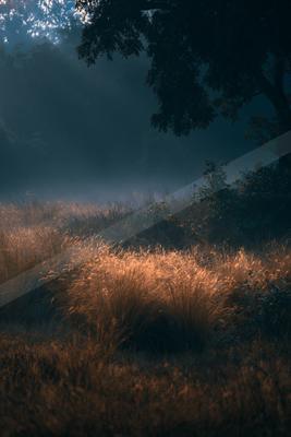 A black-toned moody photograph of barn, worm fence, church.