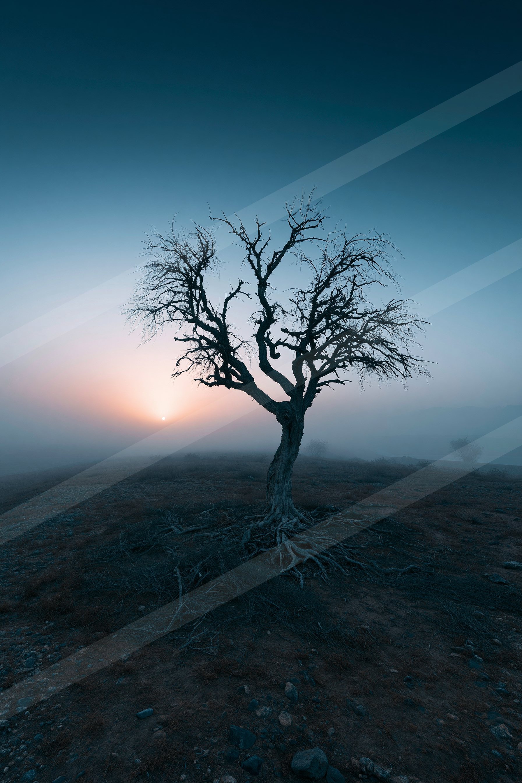 A stark bare tree stands alone against a twilight sky with mist rolling across the barren landscape.