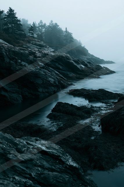 A mysterious high contrast water scene of a coastline, fog.