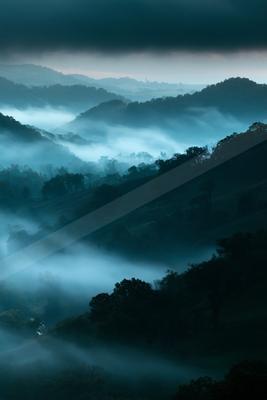 A serene landscape of rolling hills covered in dense forest, shrouded by a thick layer of mist during early morning hours.