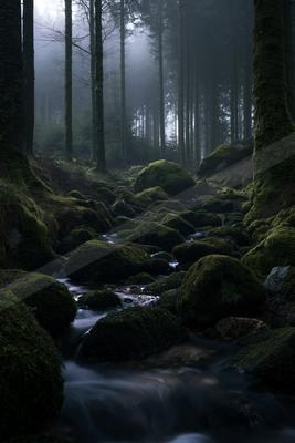 A black-and-white serene nature scene of forest, river, field.