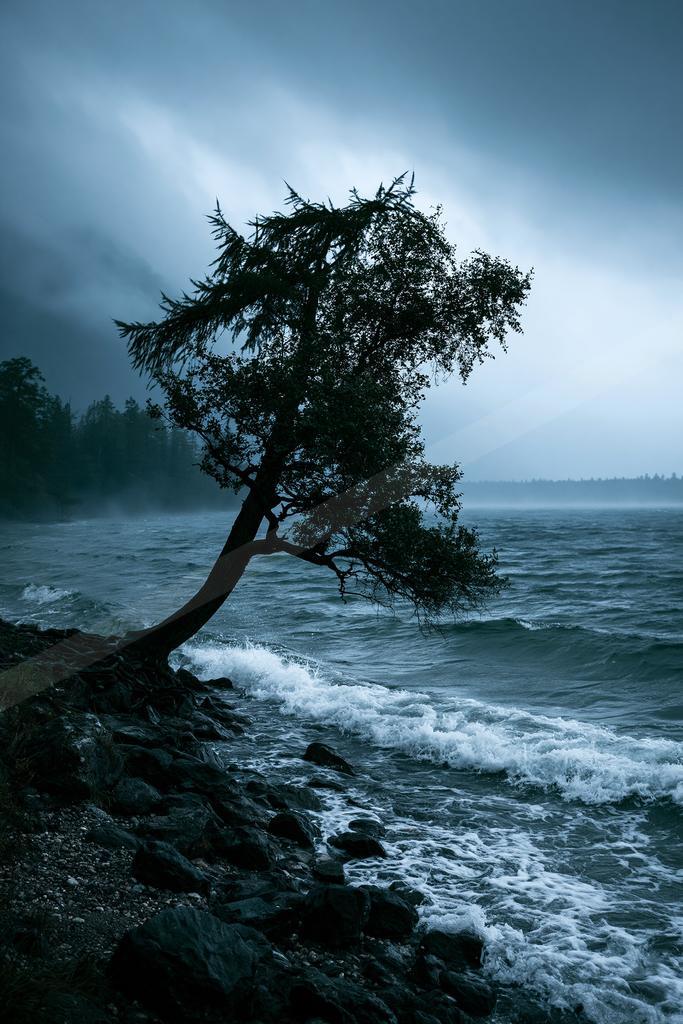 A black-toned bright photograph of lakeside, seashore, breakwater.