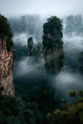 A serene nature scene of forest, mountains, valley.