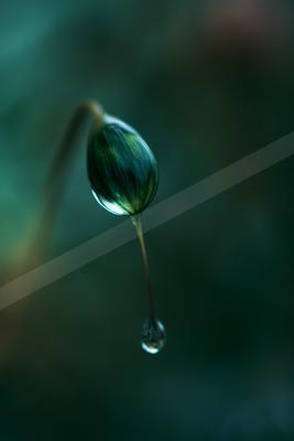 A moody water scene of waterfall.