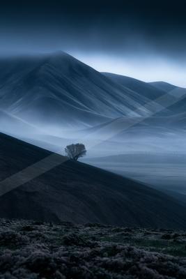A dramatic minimalist nature scene of trees, mountains, valley.