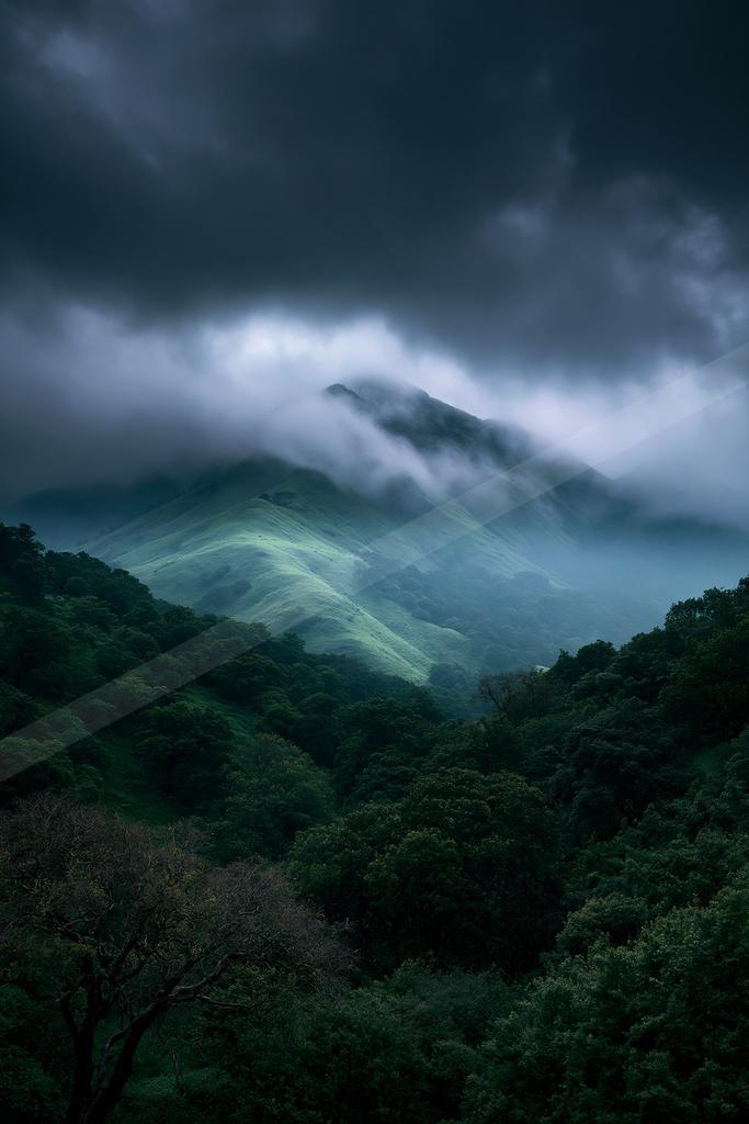 Lush green mountain slopes partially shrouded in thick white mist beneath a dark, stormy sky, with dense forest in the foreground.