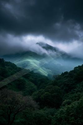 Lush green mountain slopes partially shrouded in thick white mist beneath a dark, stormy sky, with dense forest in the foreground.