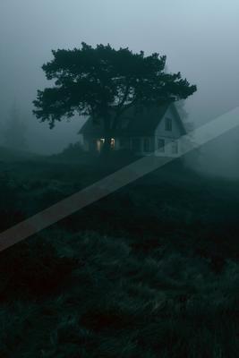 A two-story house with illuminated windows sits on a foggy, grassy hill at night, partially obscured by dense mist and a large silhouetted tree.