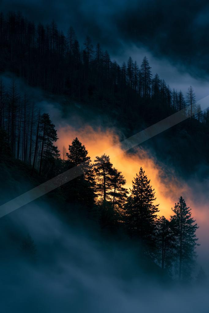 A night sky scene of sunrise, trees, mountains.