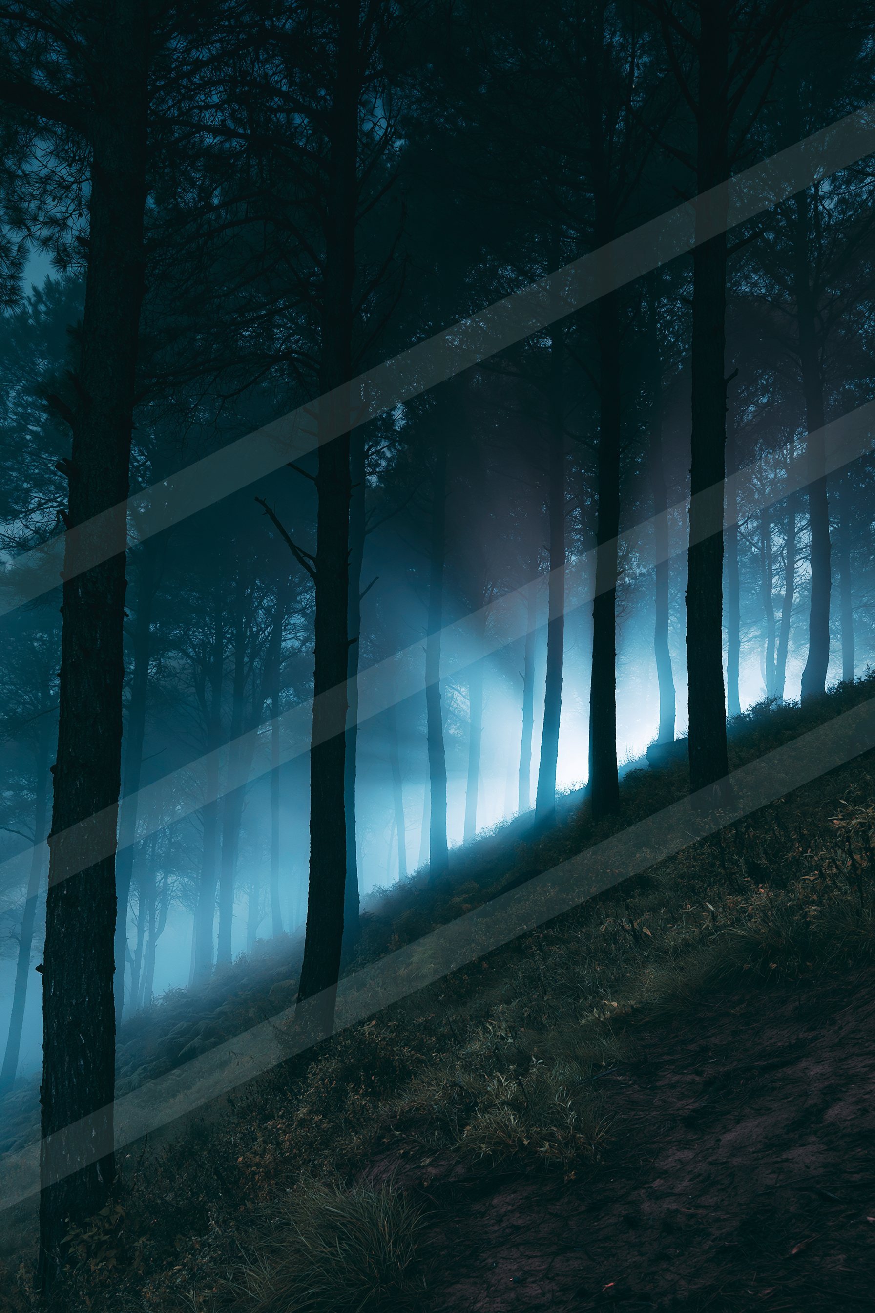 A dark forest illuminated by a glowing light source through misty fog.