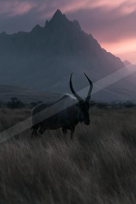 A large antelope with long curved horns stands in tall dry grass in the foreground, with a rugged mountain range under a pink and purple sky in the background.