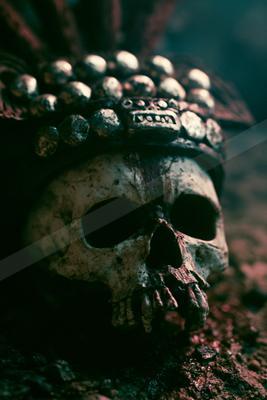 A moody still life.
