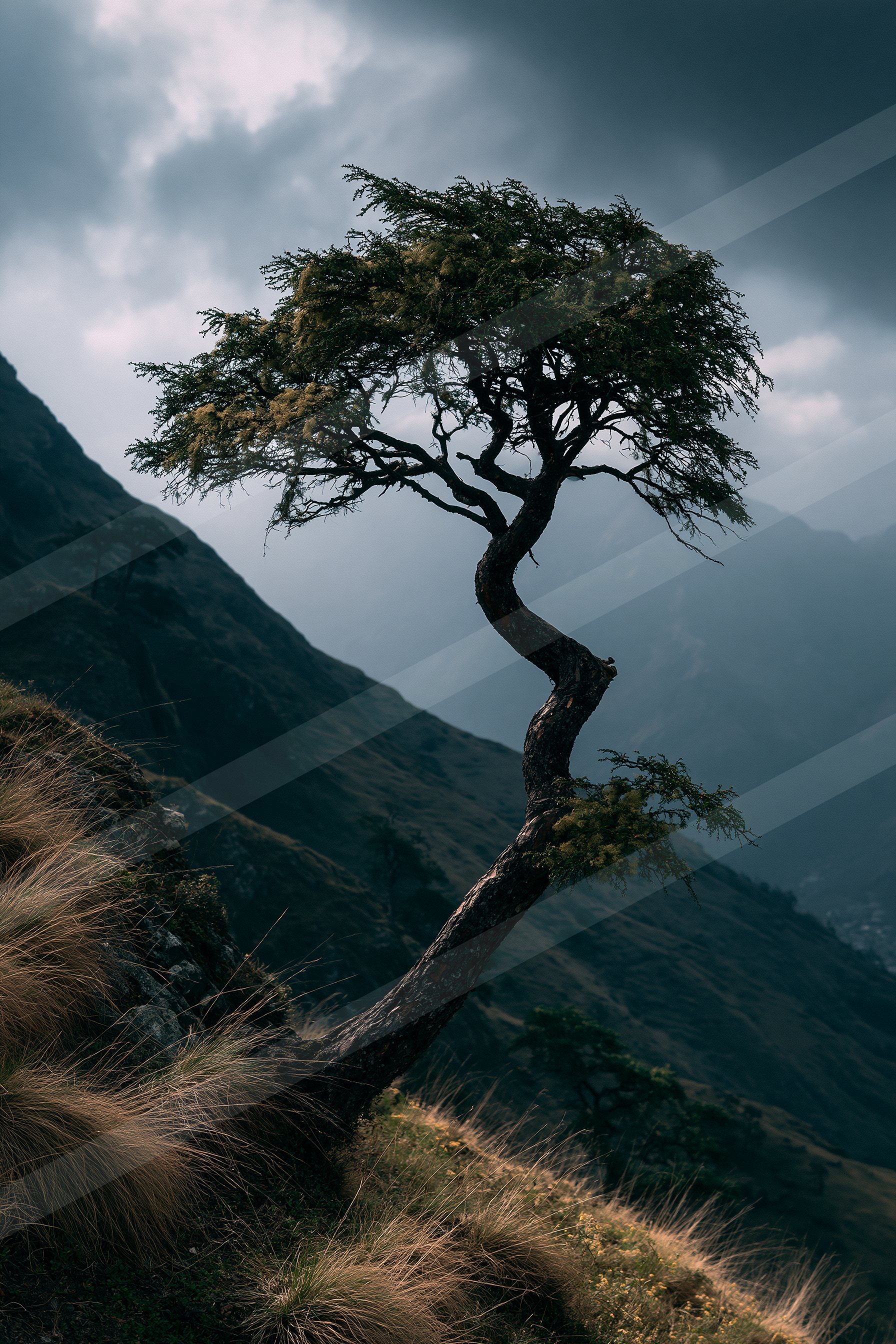 A lone tree with a curved trunk stands prominently against a moody sky, set atop a rocky cliff overlooking distant mountains.