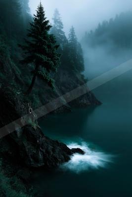 A tall evergreen tree leans from a rocky cliff above a misty turquoise lake, with dense fog enveloping the forested mountains in the background and white water 