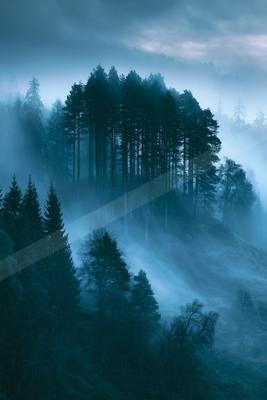 A dramatic nature scene of forest, trees, mountains.