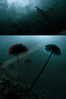 A moody water scene of ocean, flowers.